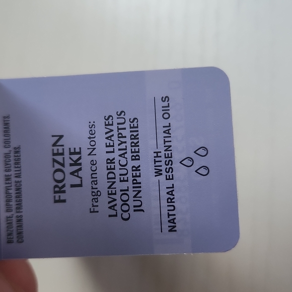 Set of 4 NWT Wallflowers- Winter Scents - Picture 5 of 10